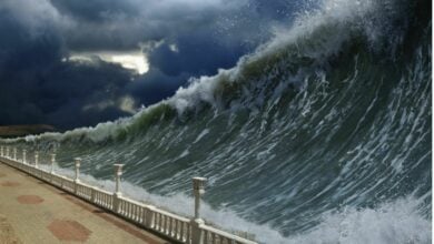 Quake fake! Thailand tsunami terror just a cartoon cliffhanger