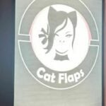 Cat-astrophe in Pattaya: Faulty bug zapper blamed as fire guts bar | Thaiger