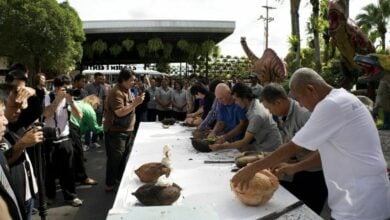 Royal nut: Rare Coco de Mer haul cracks global record in Pattaya | Thaiger