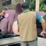 Hippo-critically trained! Zoo drills escape with porky starlet Moo Deng (video) | Thaiger
