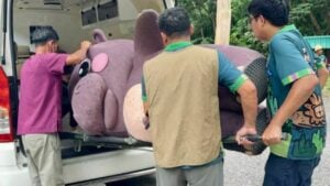 Hippo-critically trained! Zoo drills escape with porky starlet Moo Deng (video)