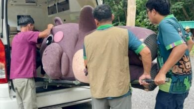 Hippo-critically trained! Zoo drills escape with porky starlet Moo Deng (video) | Thaiger