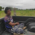 Nut job nabbed! Coconut crook caught hiding in cassava patch | Thaiger