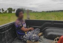 Nut job nabbed! Coconut crook caught hiding in cassava patch | Thaiger