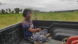 Nut job nabbed! Coconut crook caught hiding in cassava patch | Thaiger