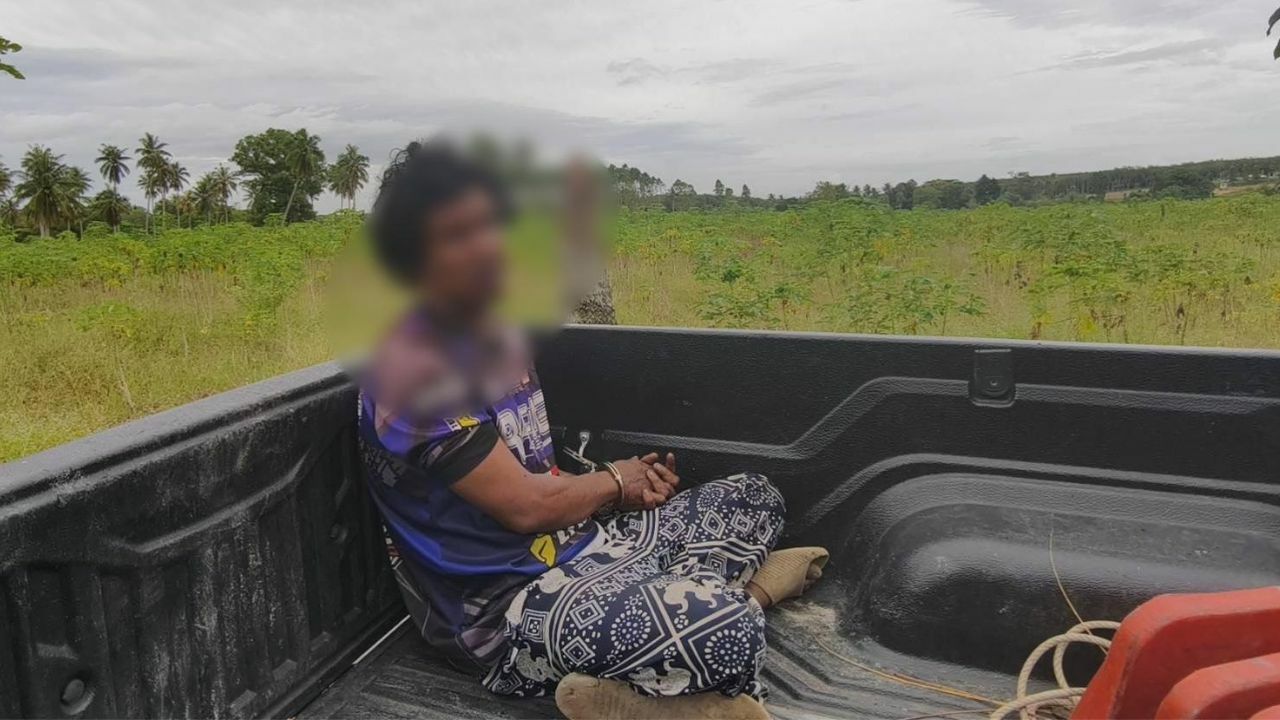 Nut job nabbed! Coconut crook caught hiding in cassava patch | Thaiger