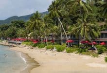 Phuket heartbreak as young Aussie tourist found dead in hotel | Thaiger