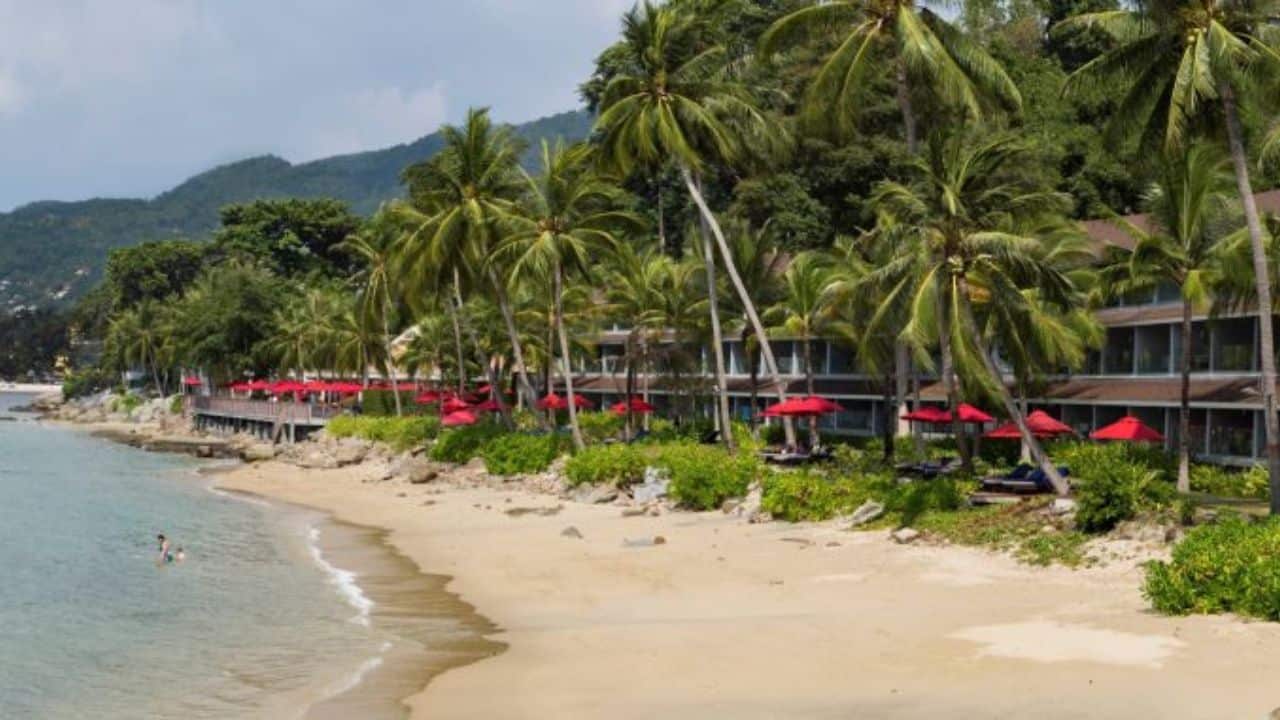 Phuket heartbreak as young Aussie tourist found dead in hotel | Thaiger