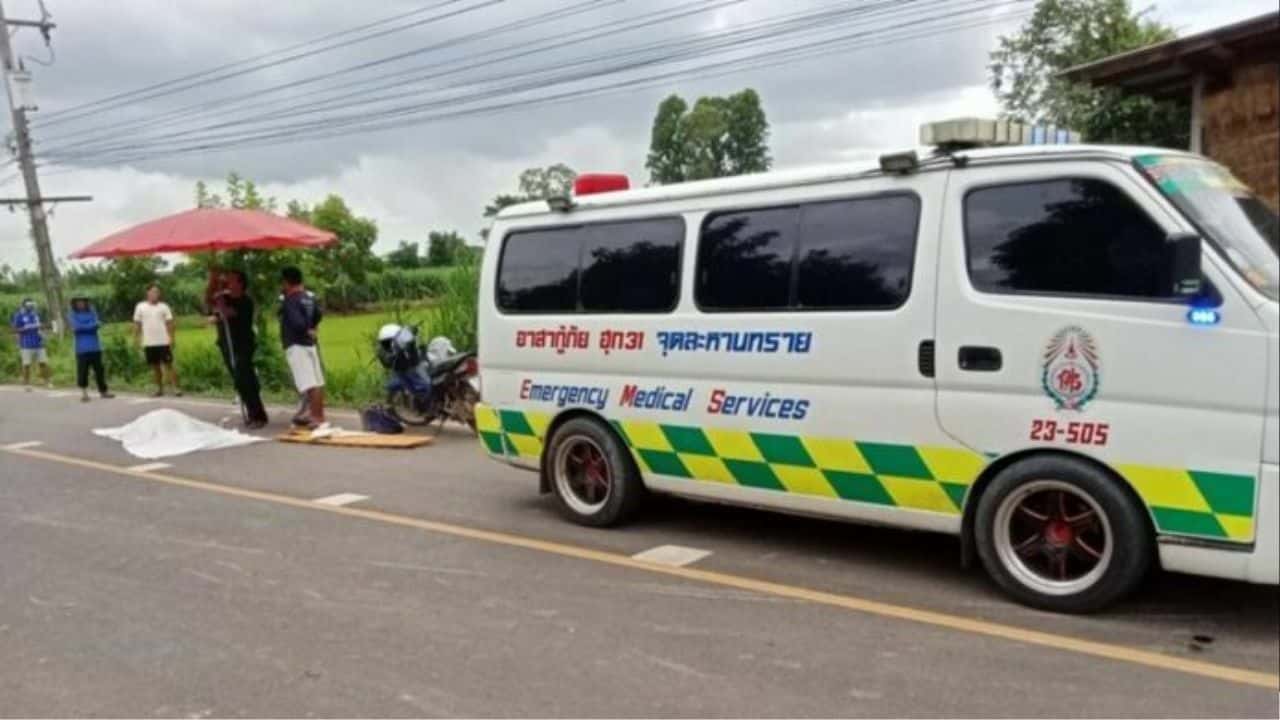 Moo-ving too fast: Biker killed in horror smash with herd of cows