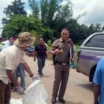 Man electrocuted, another injured in Udon Thani tree accident | Thaiger