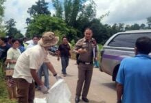 Man electrocuted, another injured in Udon Thani tree accident