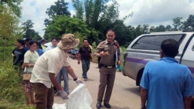 Man electrocuted, another injured in Udon Thani tree accident