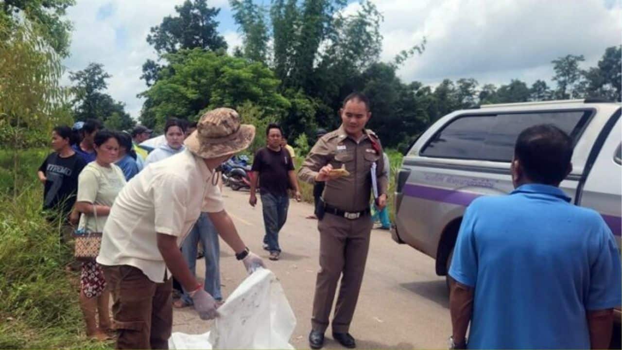 Man electrocuted, another injured in Udon Thani tree accident