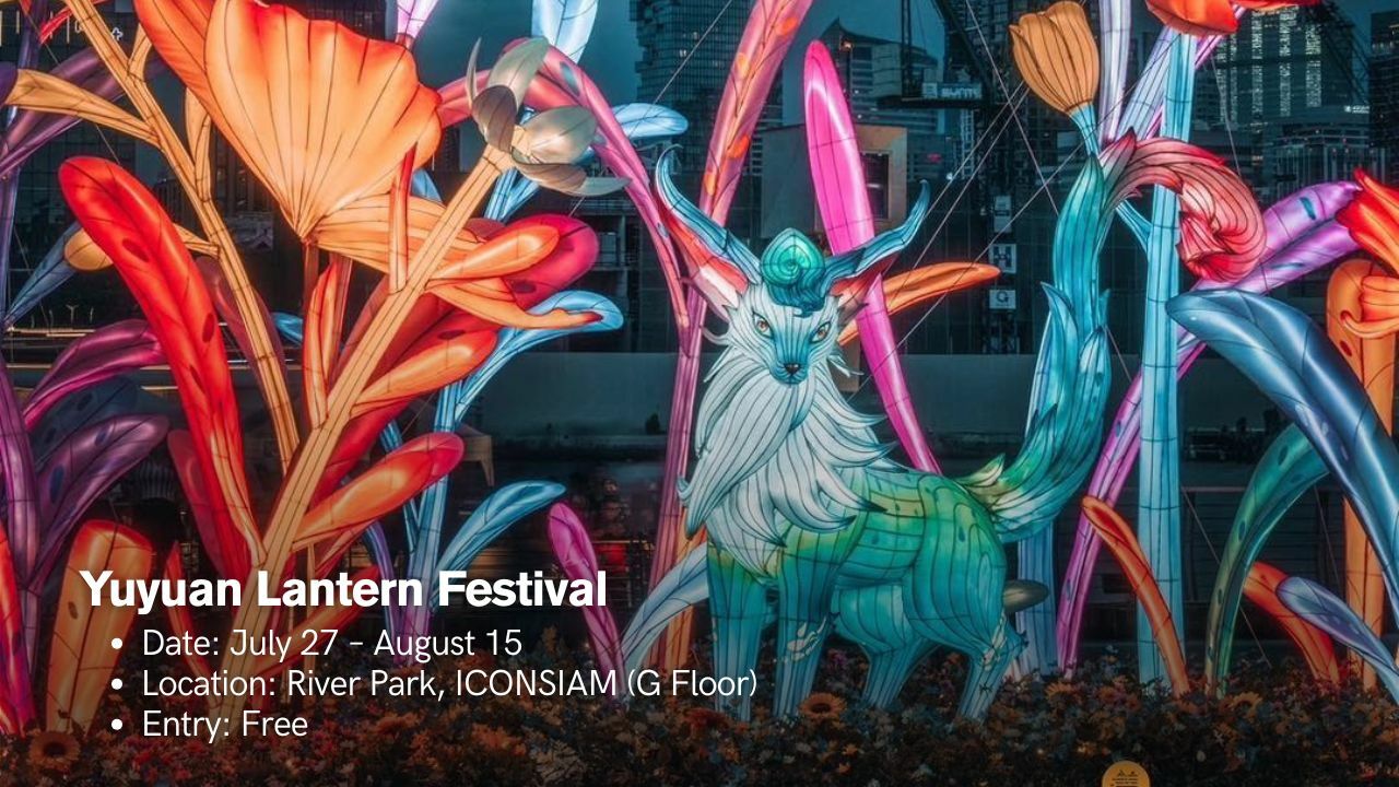 What's Up Thailand Episode 3: From book fairs and lantern festivals to rooftop comedy and zine culture | News by Thaiger