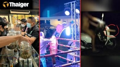 Thailand Video News | Thailand to require cannabis shops to become clinics under new law, Russian MMA fighter shocked during victory celebration at weed boxing event