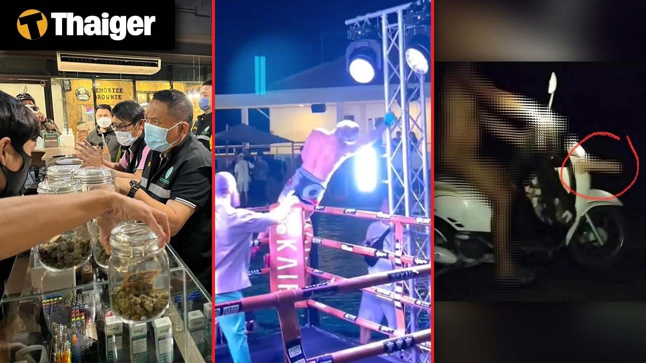 Thailand Video News | Thailand to require cannabis shops to become clinics under new law, Russian MMA fighter shocked during victory celebration at weed boxing event