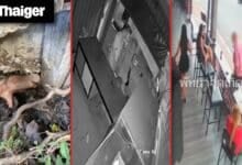 Thailand Video News | Naked American pulled from Bangkok drainpipe after bizarre standoff with rescuers,  ex-U.S. soldier arrested after violent episode in Pattaya