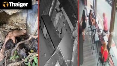 Thailand Video News | Naked American pulled from Bangkok drainpipe after bizarre standoff with rescuers,  ex-U.S. soldier arrested after violent episode in Pattaya