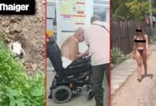 Thailand Video News | Outrage in Phuket after foreign resident allegedly buries dog alive, Topless Thai transwoman busted for beach stunt in Sri Lanka