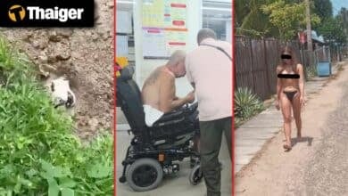 Thailand Video News | Outrage in Phuket after foreign resident allegedly buries dog alive, Topless Thai transwoman busted for beach stunt in Sri Lanka