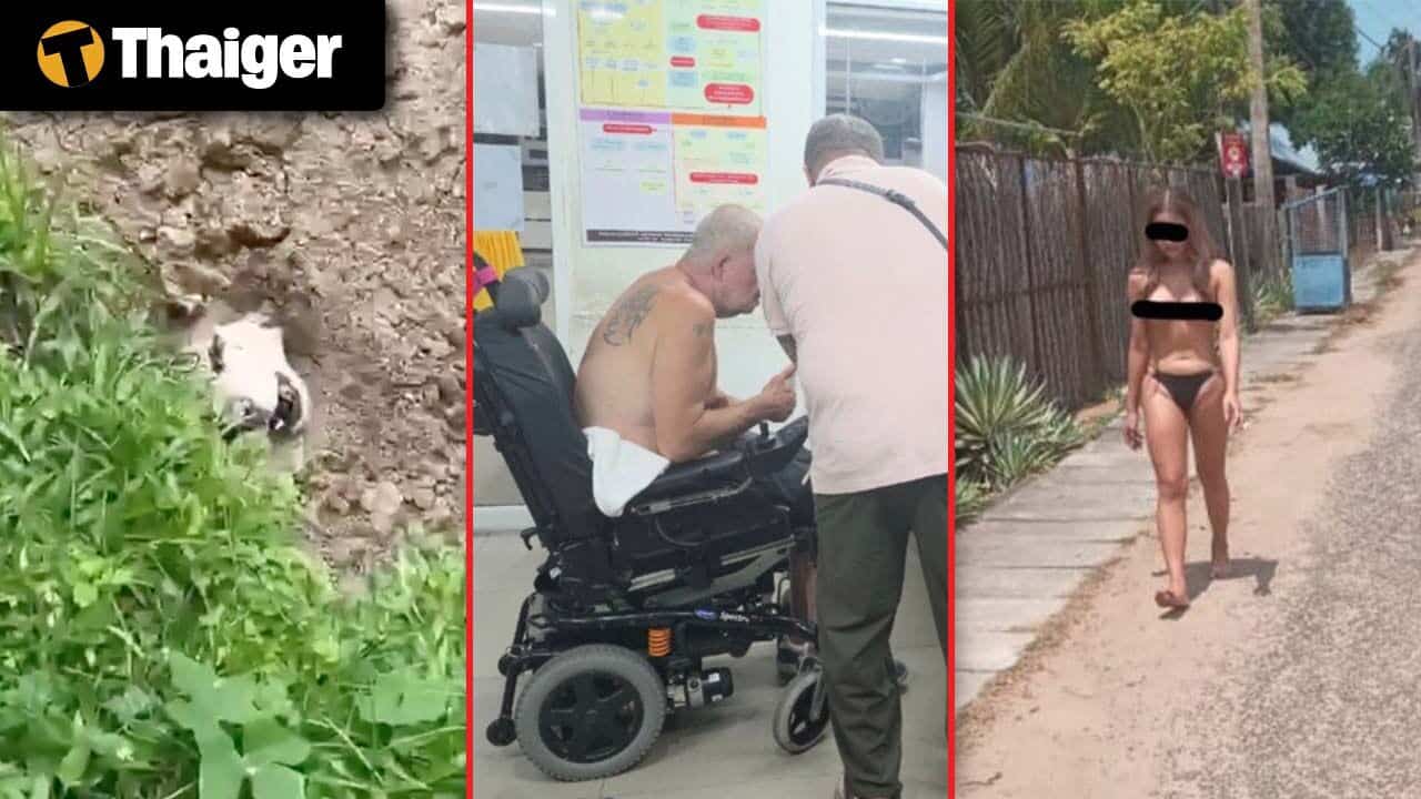 Thailand Video News | Outrage in Phuket after foreign resident allegedly buries dog alive, Topless Thai transwoman busted for beach stunt in Sri Lanka