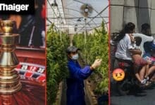 Thailand Video News | Thai government withdraws casino bill amid political crisis and public pushback, Thailand sees 34% drop in Chinese tourists, forcing revised outlook