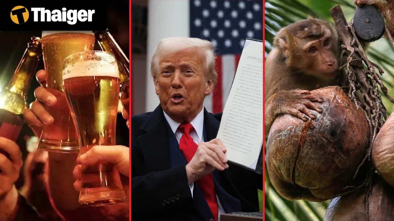 Thailand Video News | Trump targets Thai imports with 36% tariff in escalating trade push, Thailand bans monkey labour in coconut industry amid global backlash