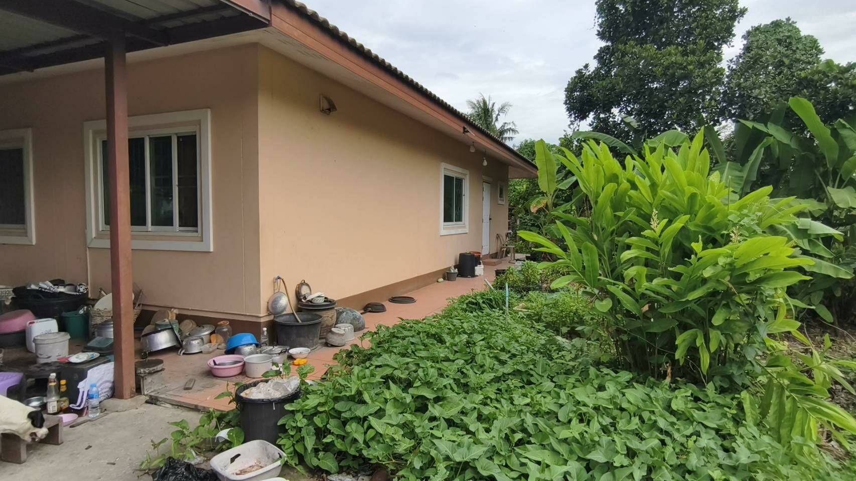 Masked burglar robs gran as family dog wags tail at thief in Pattaya | News by Thaiger
