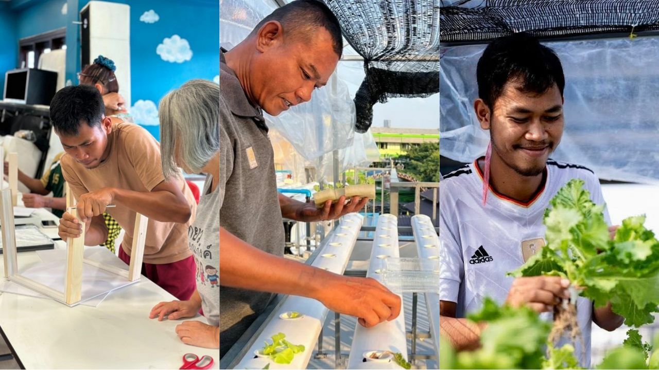 The Vocational Programmes 