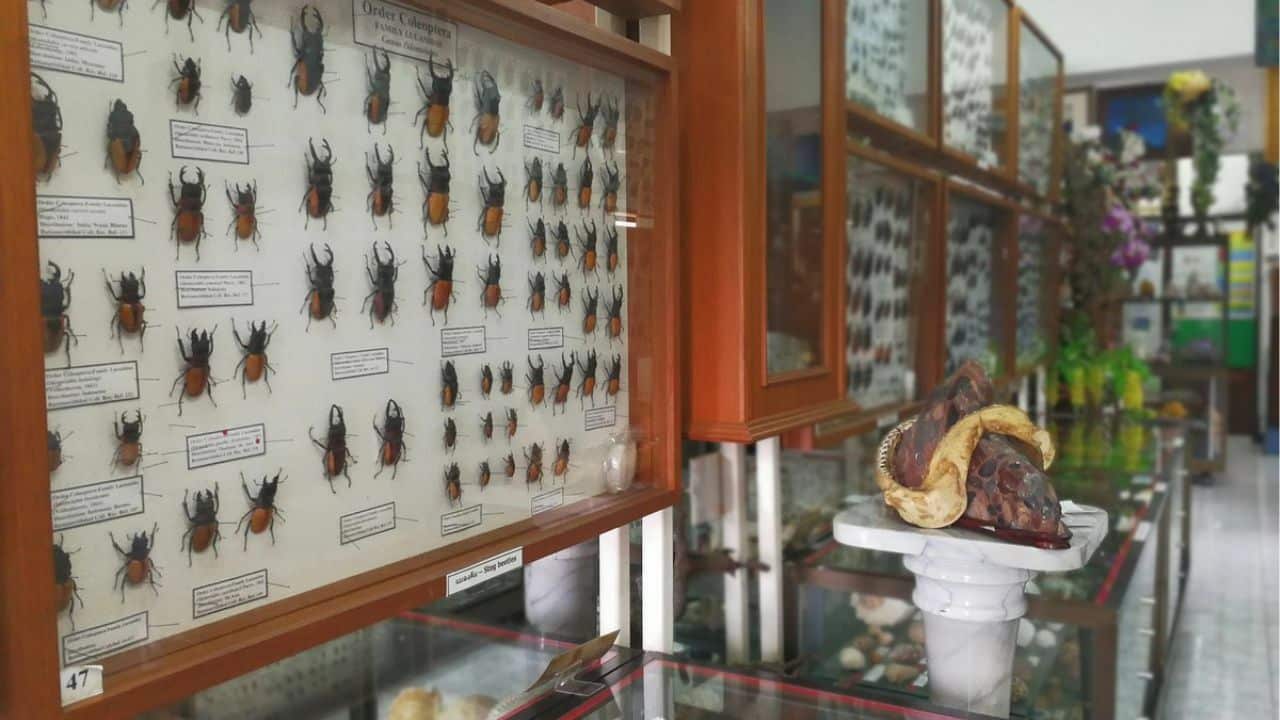 A look at some exhibitions at the museum