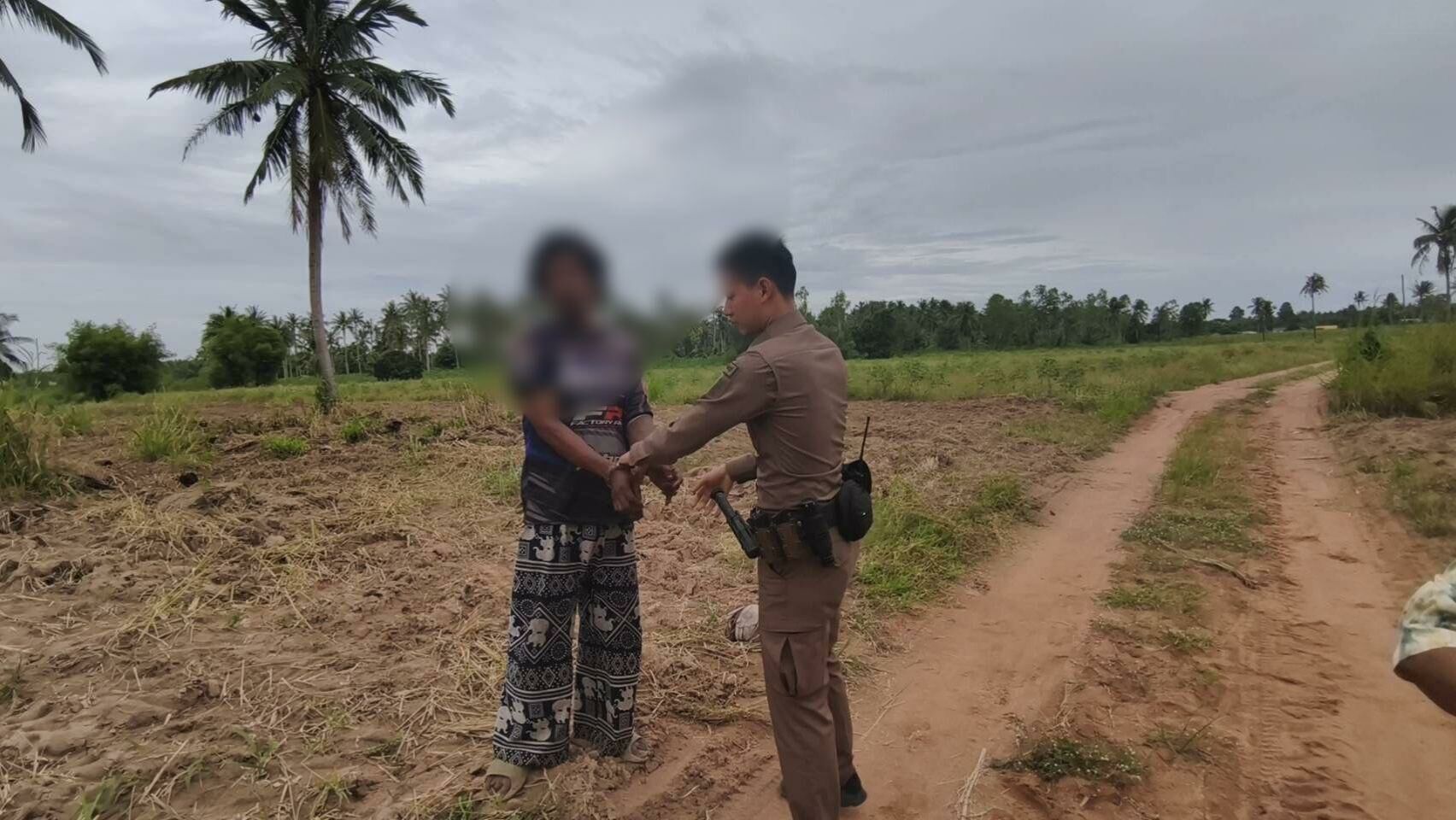 Nut job nabbed! Coconut crook caught hiding in cassava patch | News by Thaiger