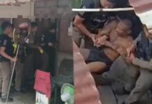 Off his rod: Drugged-up thug batters dad with iron bar