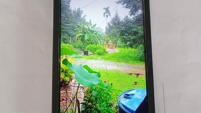 Durian and gone! Thai jailbird’s dream life stolen by ex-husband | News by Thaiger