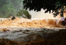 Wipha wallop: Landslide fears as storm lashes Thailand
