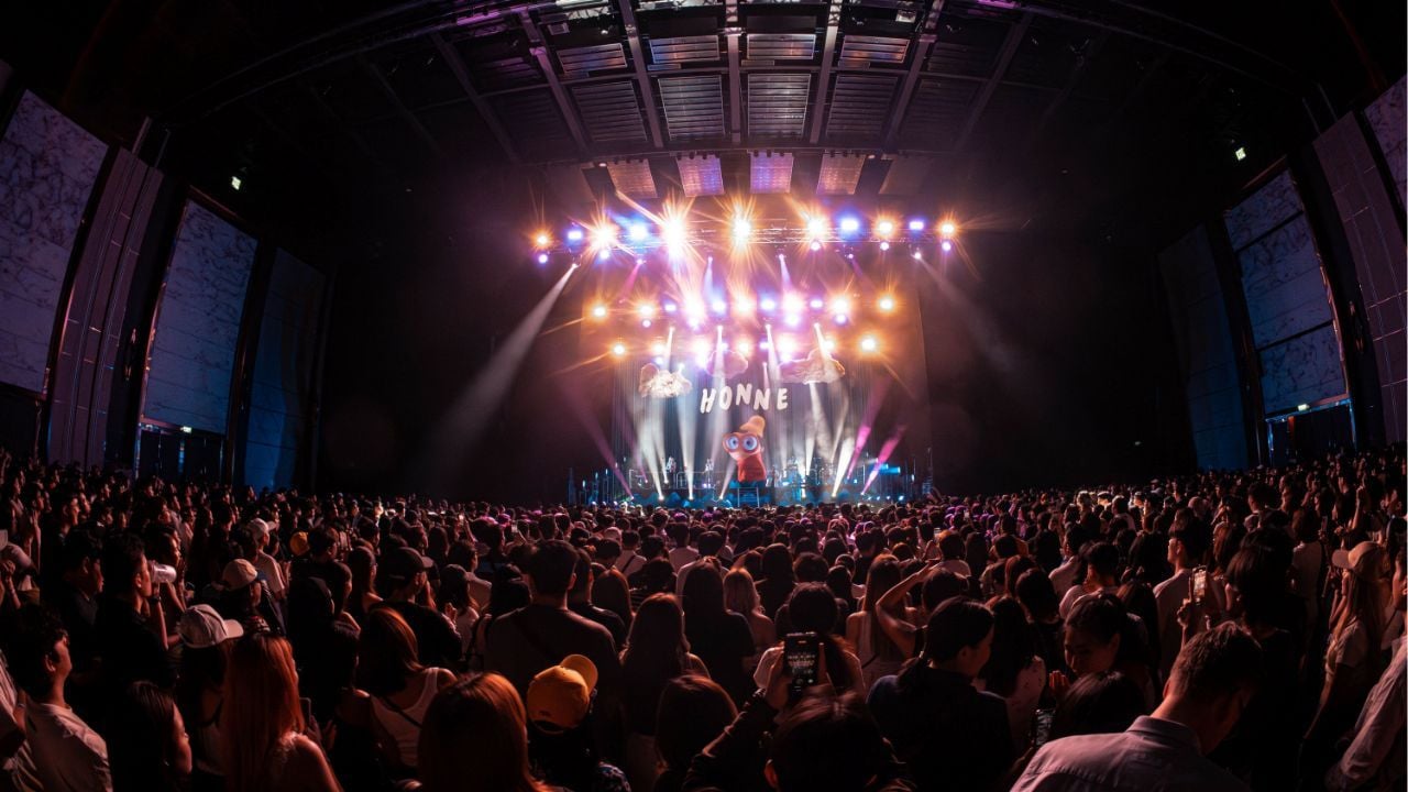 The crowd at the concert