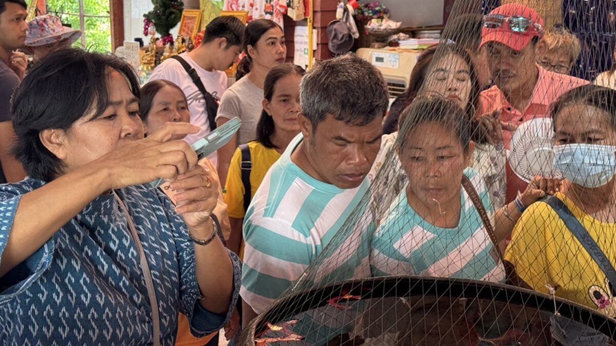6-time Thai lottery winner from Loei seeks luck in Ayutthaya | News by Thaiger