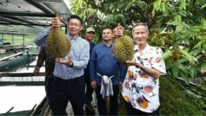 Thai man sells ‘floating durian’ for 300,000 baht at fruit festival auction