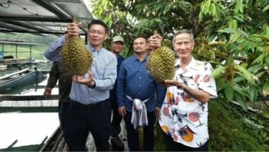 Thai man sells ‘floating durian’ for 300,000 baht at fruit festival auction