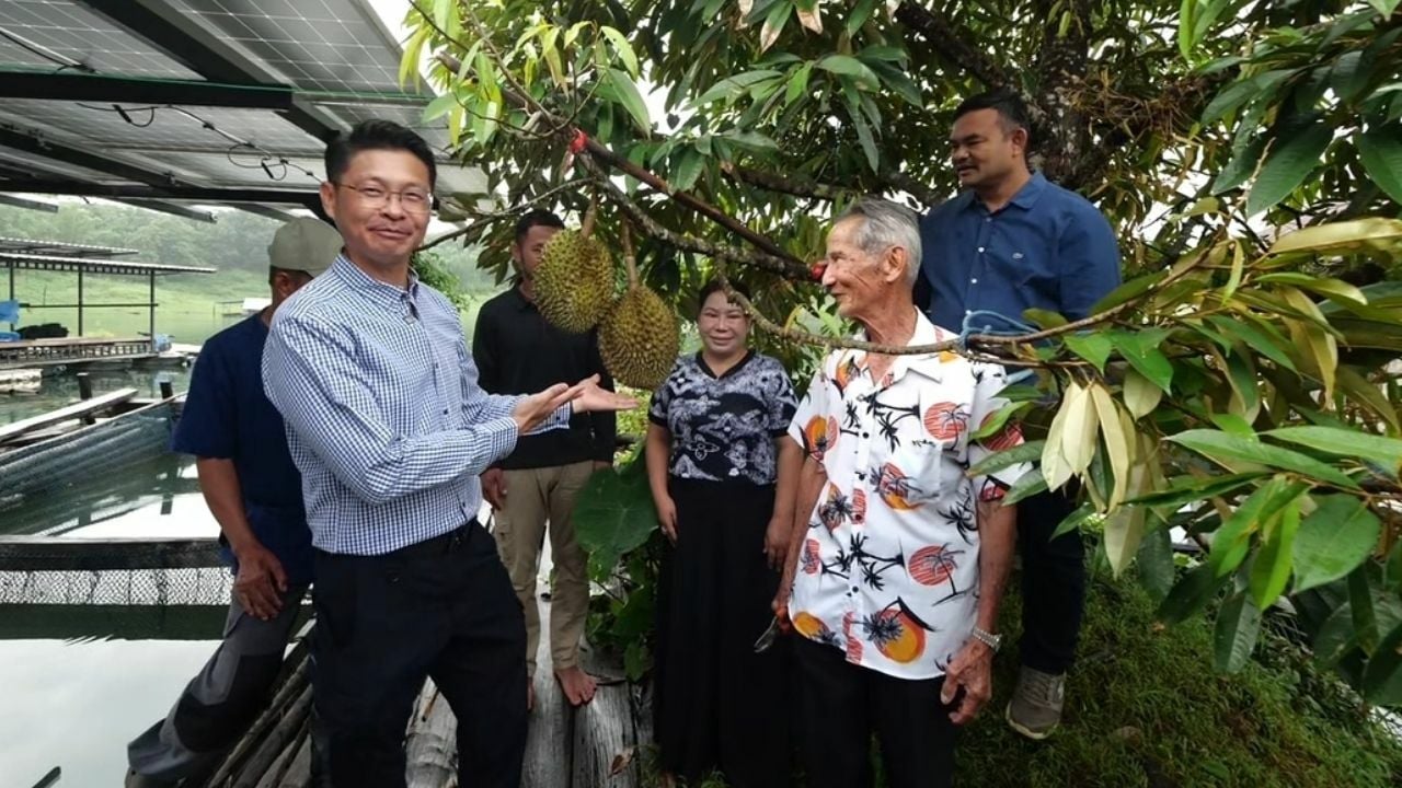 Floating durian in Kanchanaburi