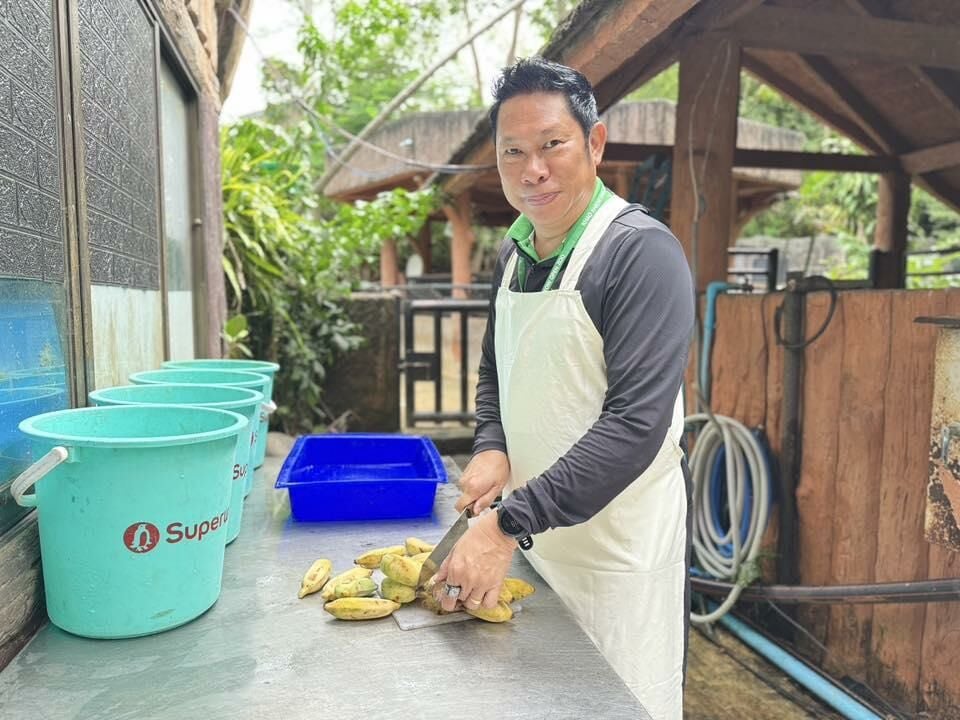 Hippo-star rising: Moo Deng cooks up at zoo birthday bash | News by Thaiger