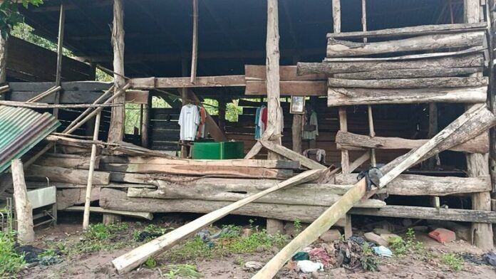 Wild elephants forage for food, wreak havoc in Prachin Buri | News by Thaiger