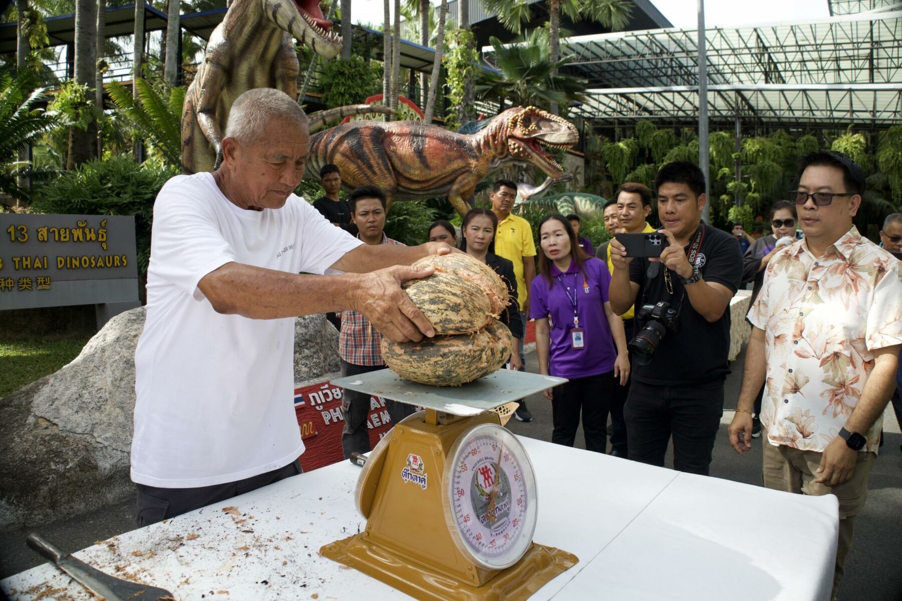 Royal nut: Rare Coco de Mer haul cracks global record in Pattaya | News by Thaiger