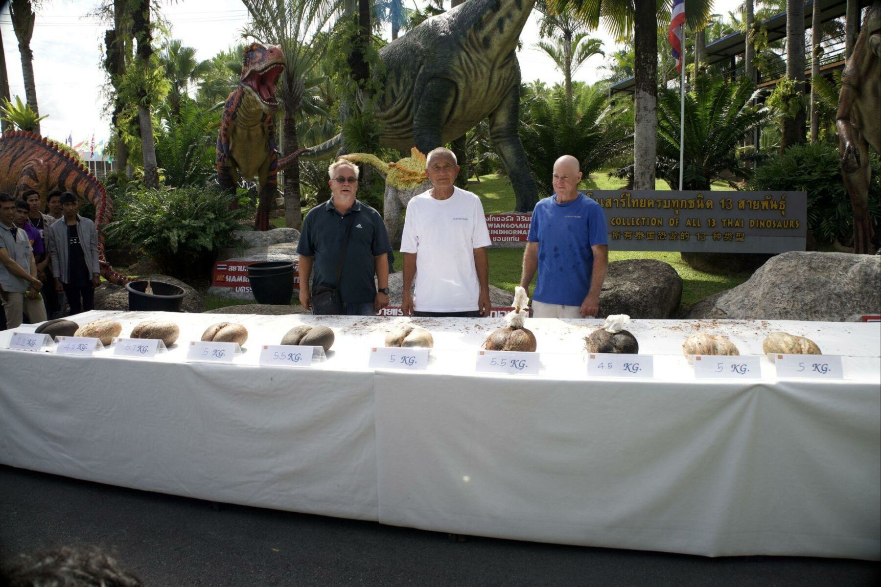 Royal nut: Rare Coco de Mer haul cracks global record in Pattaya | News by Thaiger