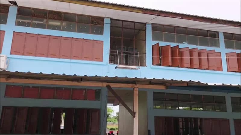 Sting operation gone wrong: Bees attack kids in Udon Thani class | News by Thaiger