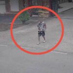 Thai politician’s son bolts after gambling bust ends in car carnage | Thaiger