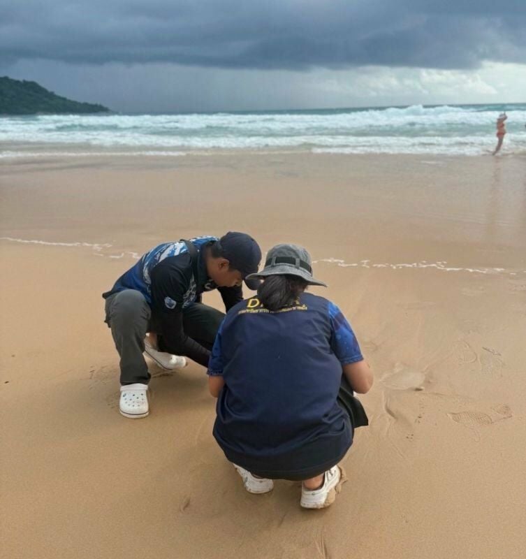 Jellyfish helliday turns toxic as 'floating terror' hits Phuket beach | News by Thaiger