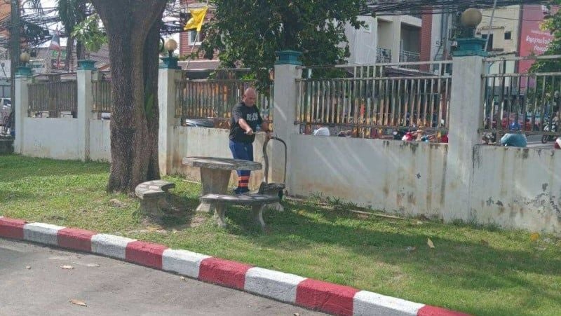 Bitten by bravery: Cobra strikes back in Phuket | News by Thaiger