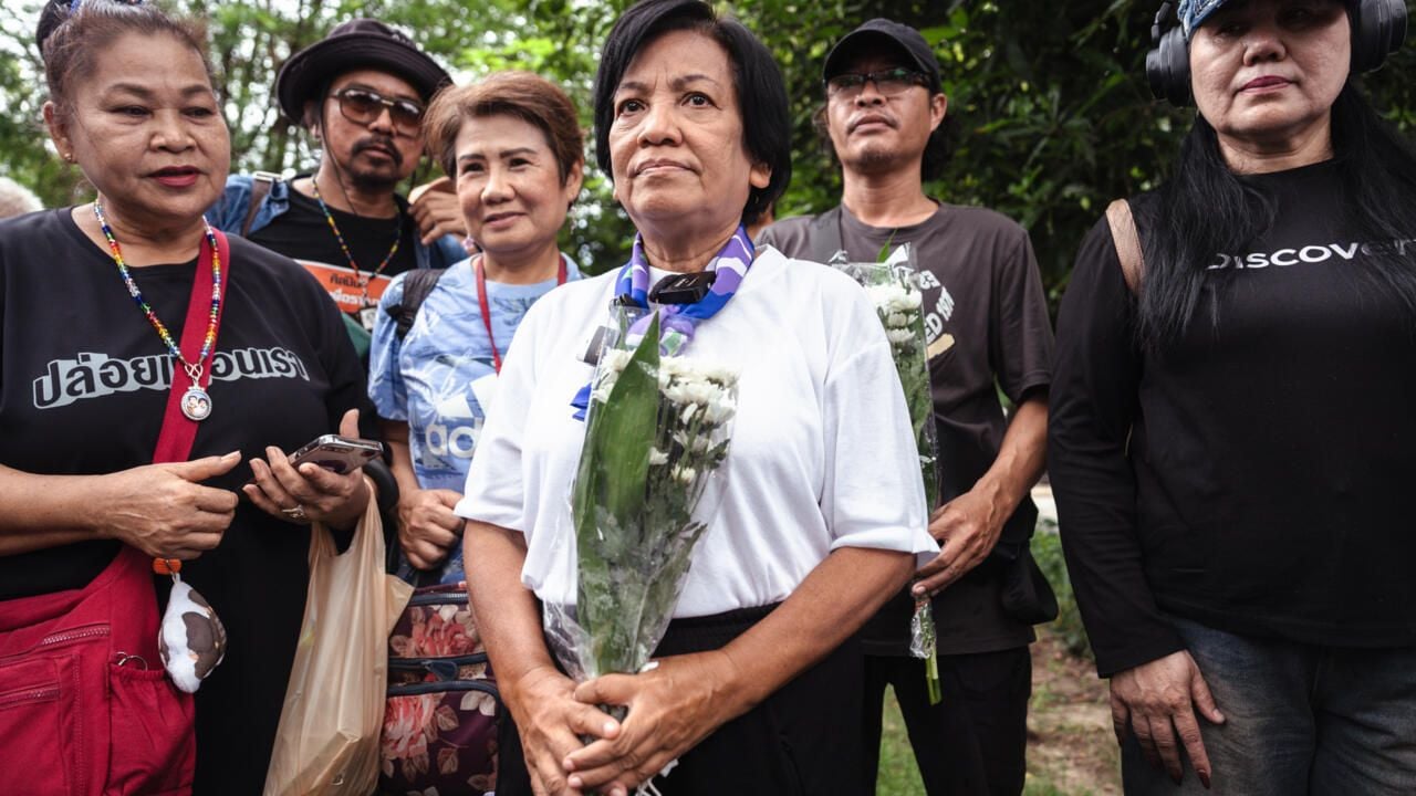Thailand grants royal pardon to jailed activists and artists | News by Thaiger