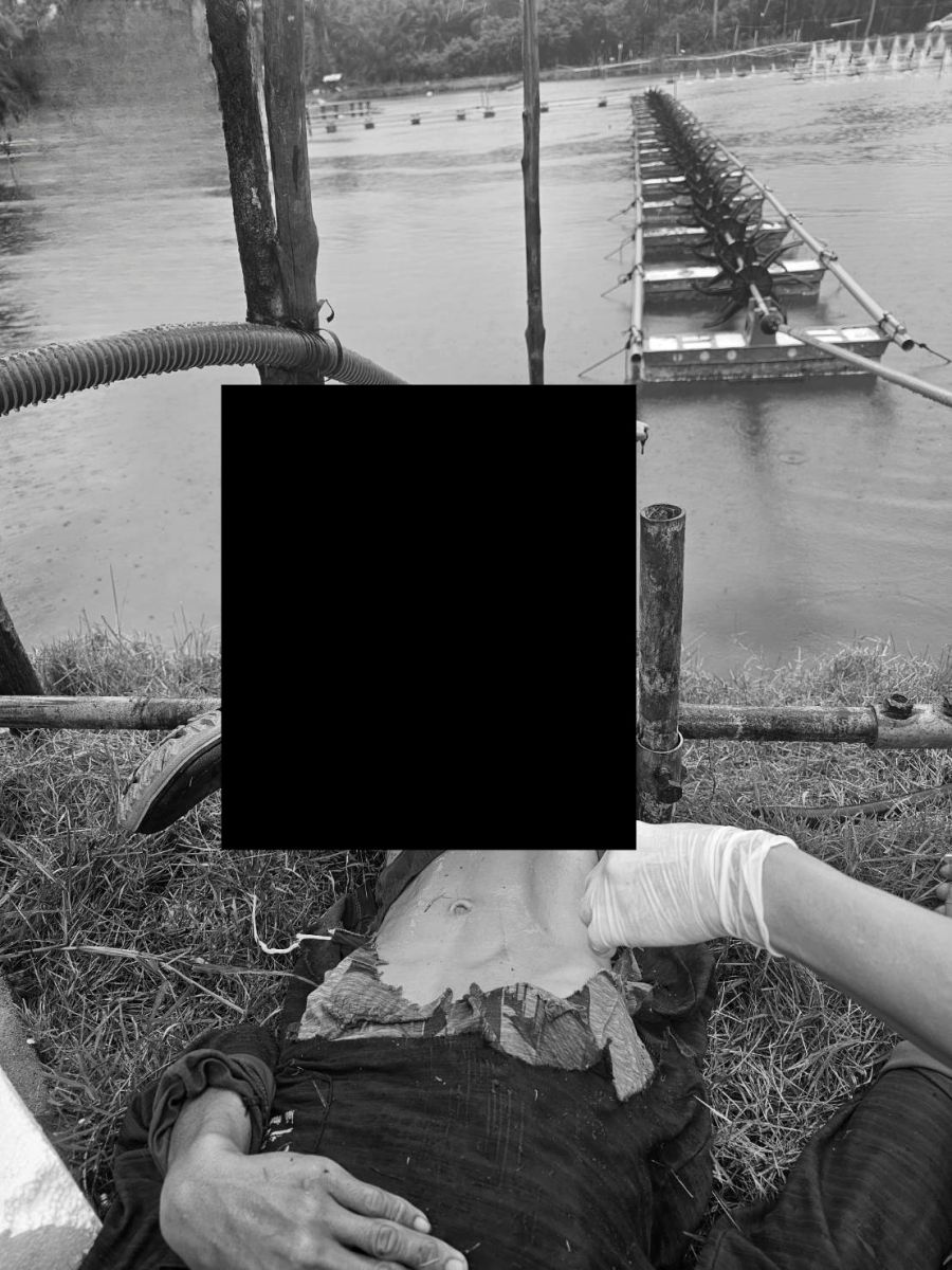Phang Nga worker’s leg mangled in shrimp pond horror (video) | News by Thaiger