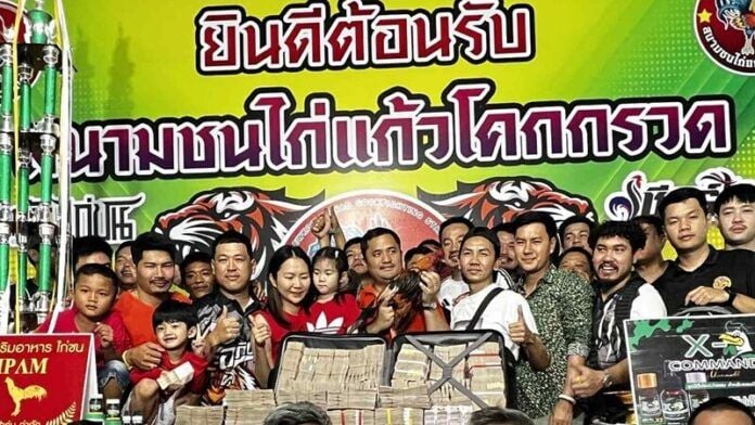 Cockfighting champ: Korat rooster sold for 6.5 million baht | News by Thaiger